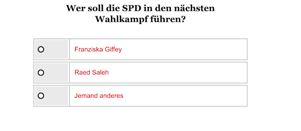 Opinary: Wer soll die SPD in den nächsten Wahlkampf führen?