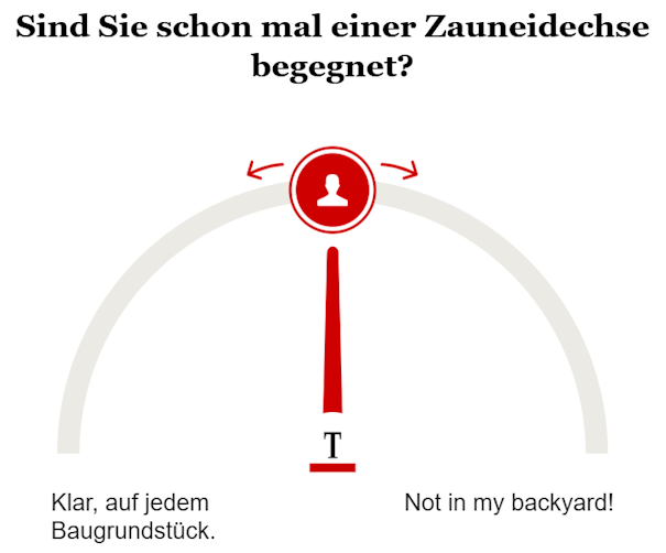 Opinary: Sind Sie schon mal einer Zauneidechse begegnet?