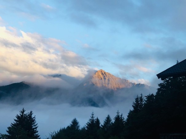 Ziervogel, Birgit, Kärnten